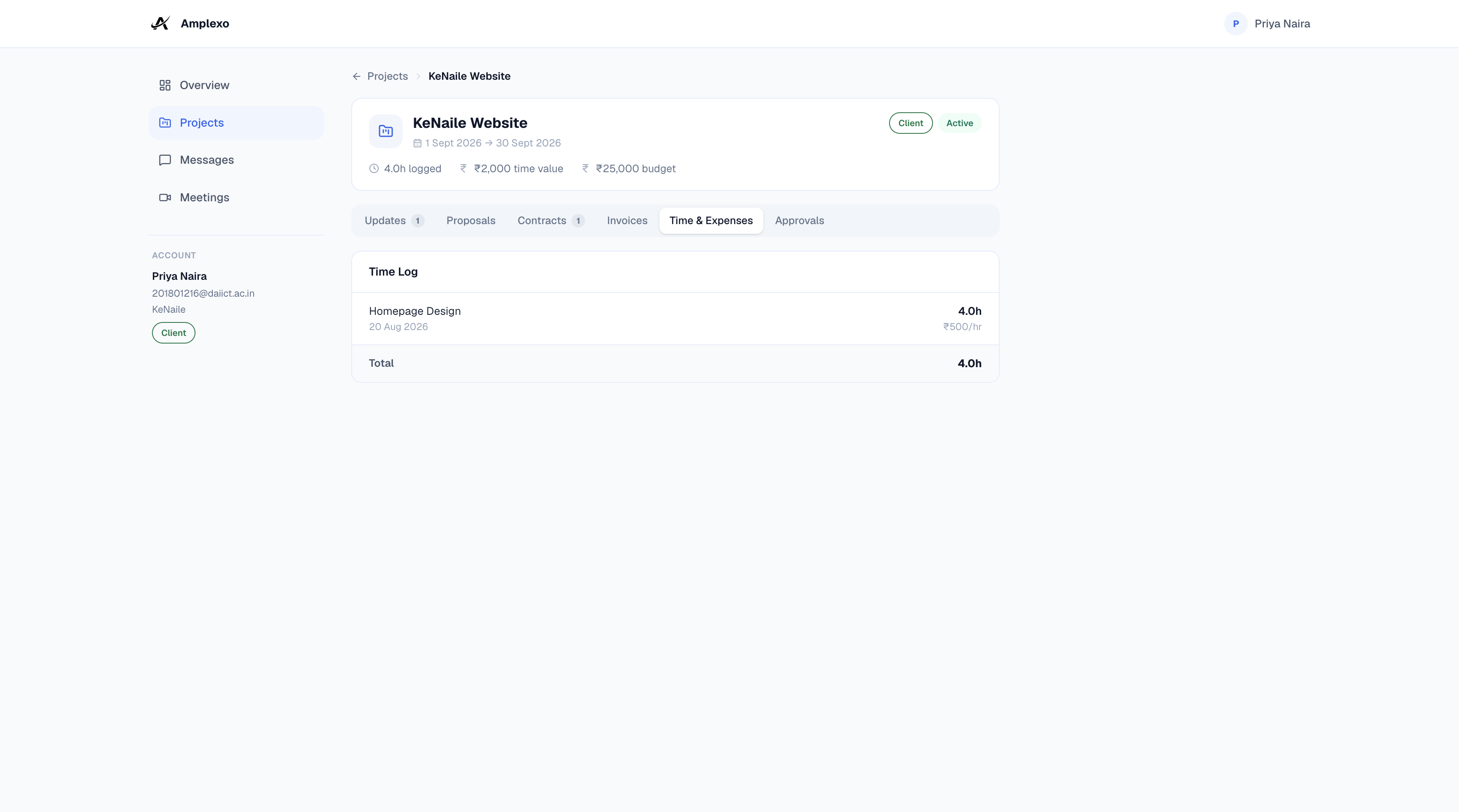 Time logs visible in client portal